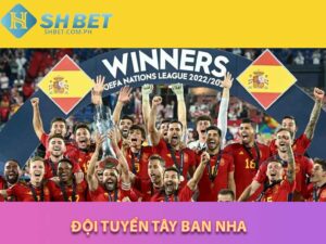 đội tuyển tây ban nha